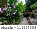瀧三柱神社⑤ 111925308