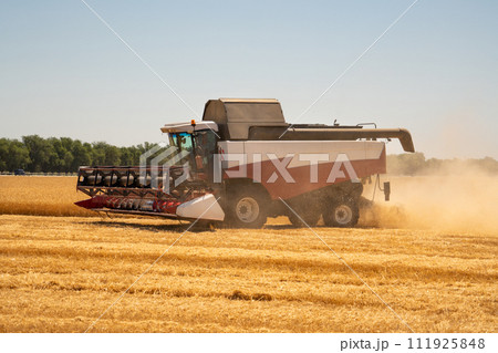 Combine harvester on the wheat field Combine harvester on the wheat field 111925848