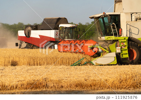 Combine harvester on the wheat field 111925876
