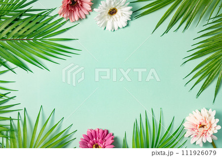 Palm leaf branches top view 111926079