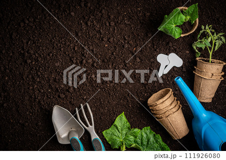 Garden tools and plants Garden tools and plants 111926080