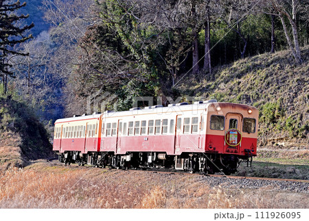 小湊鐵道 月崎ー上総大久保 キハ204+キハ207 小湊鐵道 月崎ー上総大久保 キハ204+キハ207 111926095