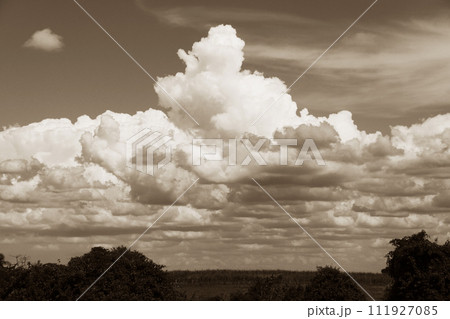 サンパウロ州の夏の雲と空　ブラジル 111927085