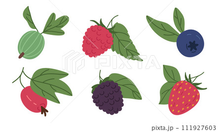 Juicy forest berries. Raspberry, blueberry, strawberry, gooseberry and rosehip berries, edible fresh berries flat vector illustration set. Wild berries collection Juicy forest berries. Raspberry, blueberry, strawberry, gooseberry and rosehip berries, edible fresh berries flat vector illustration set. Wild berries collection 111927603