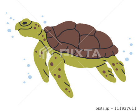 Marine turtle. Wild ocean turtle with shell, cute swimming reptile flat vector illustration. Hand drawn turtle on white 111927611