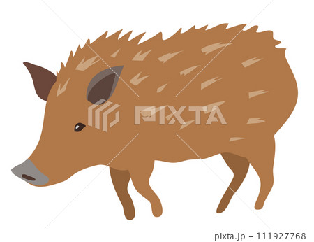 かわいいイノシシ かわいいイノシシ 111927768