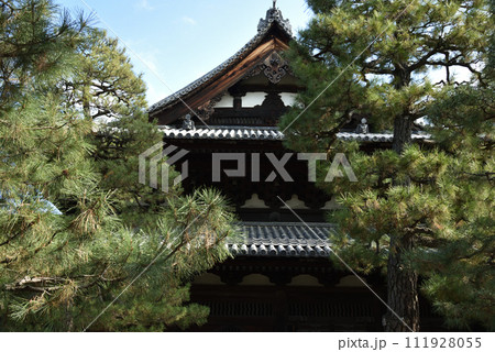 大徳寺　法堂【重要文化財】 111928055