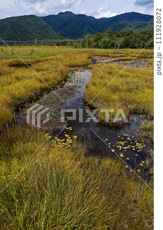 初秋の尾瀬ヶ原の池塘と景鶴山 111928072