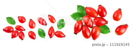 Rose hip isolated on a white background with full depth of field. Top view with copy space for your text. Flat lay. Rose hip isolated on a white background with full depth of field. Top view with copy space for your text. Flat lay. 111928145