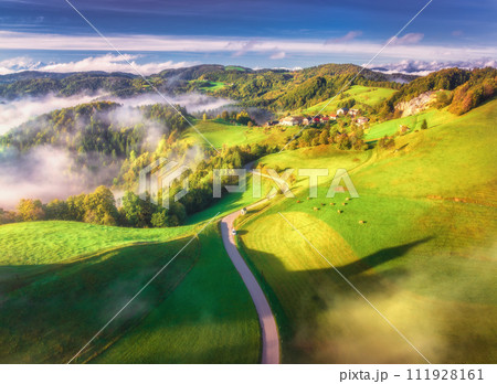 Aerial view of country road in green alpine meadows at sunrise Aerial view of country road in green alpine meadows at sunrise 111928161