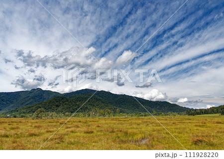 草紅葉の初秋の尾瀬ヶ原から見る景鶴山 草紅葉の初秋の尾瀬ヶ原から見る景鶴山 111928220