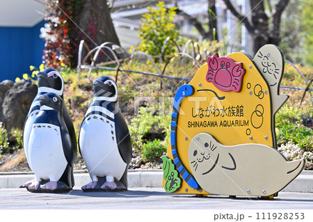 しながわ水族館 しながわ水族館 111928253