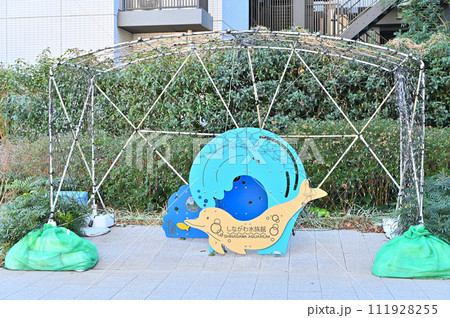 しながわ水族館 しながわ水族館 111928255