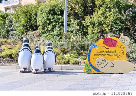 しながわ水族館 111928265