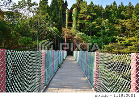 秋の千眼堂吊橋（新潟県） 111930081