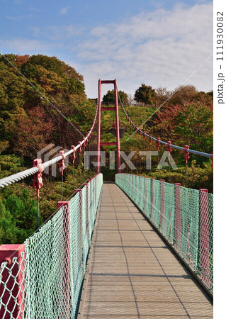 秋の千眼堂吊橋(新潟県) 秋の千眼堂吊橋(新潟県) 111930082