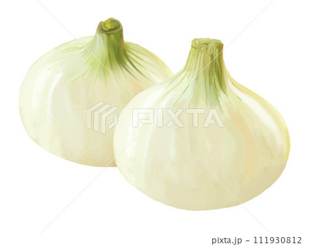 新たまねぎ2個① 新たまねぎ2個① 111930812