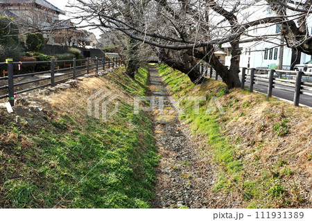 見沼通船堀跡 東縁【埼玉県さいたま市】 111931389