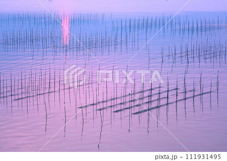 有明海の海苔養殖風景 111931495