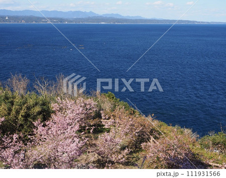 紀伊大島 樫野埼灯台からの眺望 紀伊大島 樫野埼灯台からの眺望 111931566