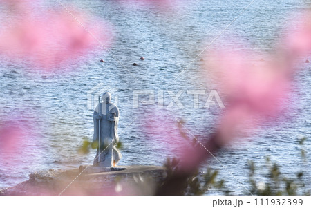 河津桜越しに見る上陸大師像 河津桜越しに見る上陸大師像 111932399