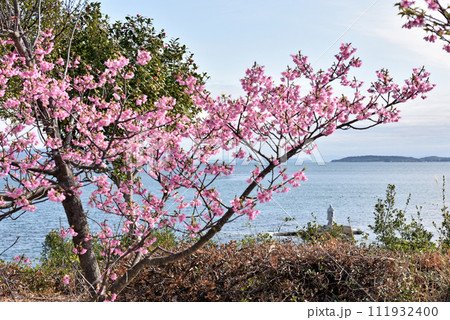 河津桜越しに見る上陸大師像 111932400
