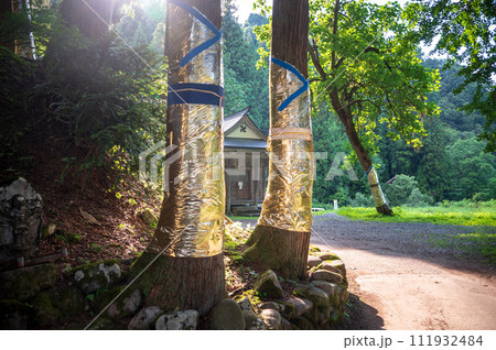 神秘的な神社の参道 111932484