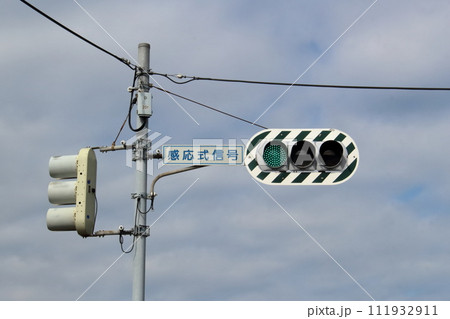 交通イメージ ゼブラ板付き信号機 縦形信号機 青信号 交通イメージ ゼブラ板付き信号機 縦形信号機 青信号 111932911
