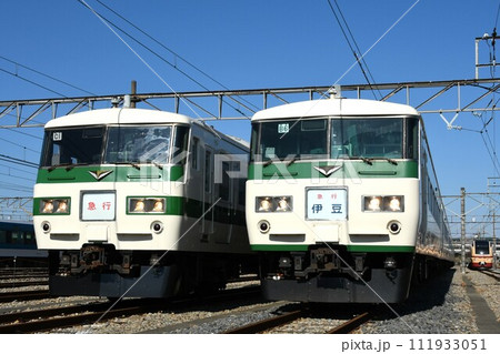 車両基地に停車する2編成の185系（急行と急行伊豆） 111933051