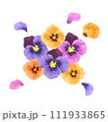 手書きのパンジーのイラスト 111933865