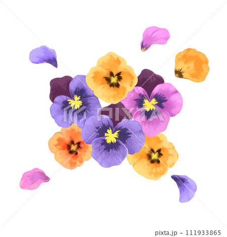 手書きのパンジーのイラスト 手書きのパンジーのイラスト 111933865