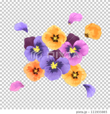 手書きのパンジーのイラスト 手書きのパンジーのイラスト 111933865