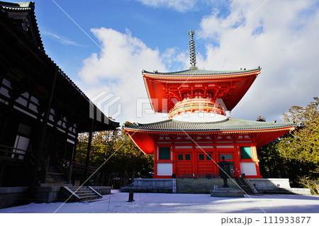 世界遺産「高野山」の根本大塔 111933877