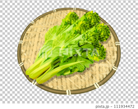 菜の花（食用）ザル付き 111934472