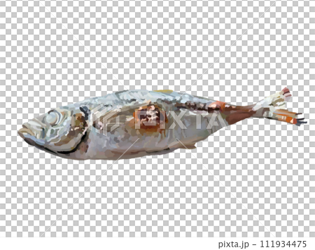 Salt-grilled horse mackerel (no plate) Salt-grilled horse mackerel (no plate) 111934475