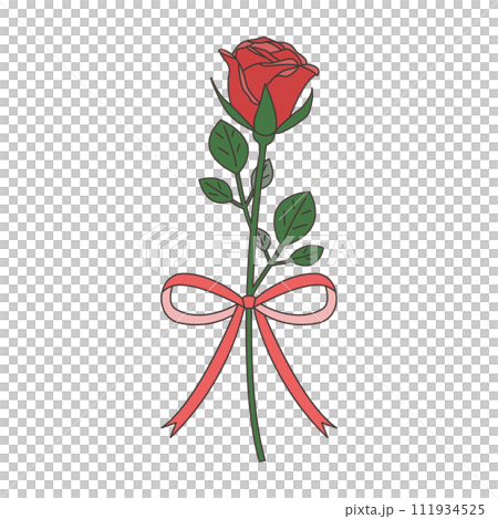 一輪の薔薇とリボンのセットイラスト、アイコン、ベクターのイラスト