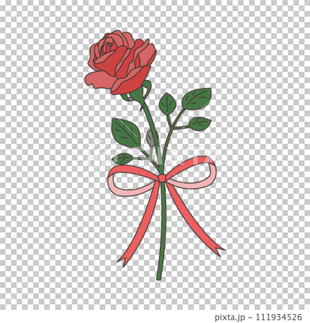 Single rose and ribbon set illustration, icon, vector Single rose and ribbon set illustration, icon, vector 111934526