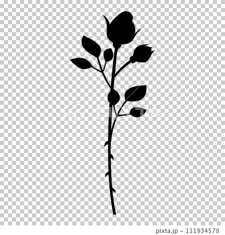 一輪の薔薇のシルエット、つぼみのバラ、アイコン、ベクター 一輪の薔薇のシルエット、つぼみのバラ、アイコン、ベクター 111934578
