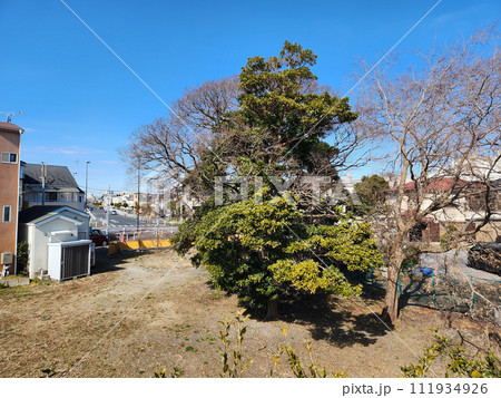 旧江戸川橋梁　建設予定地　2023年 111934926