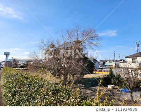 旧江戸川橋梁 建設予定地 2023年 旧江戸川橋梁 建設予定地 2023年 111934939