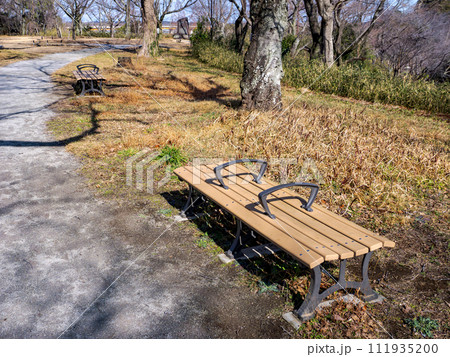 公園に置かれている仕切りの付いたベンチ 公園に置かれている仕切りの付いたベンチ 111935200