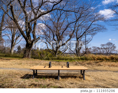 公園に置かれている仕切りの付いたベンチ 公園に置かれている仕切りの付いたベンチ 111935206