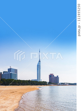 福岡タワー の ももち浜 からの シーサイド ビュー 【 福岡市 の 都市風景 】 111935250