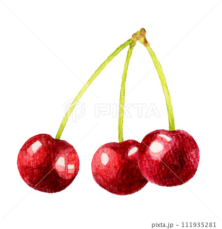 アクリル画 無題 101 『ローズ&アメリカンチェリー』 アメリカンチェリー（さくらんぼ） フルーツの手描き水彩イラスト素材