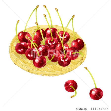 竹ざるに乗ったアメリカンチェリー(さくらんぼ) フルーツの手描き水彩イラスト素材 竹ざるに乗ったアメリカンチェリー(さくらんぼ) フルーツの手描き水彩イラスト素材 111935287