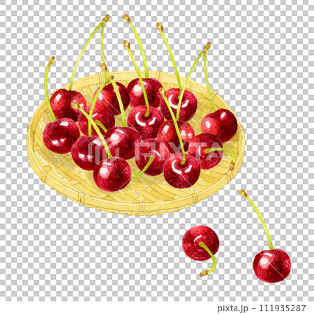 竹ざるに乗ったアメリカンチェリー(さくらんぼ) フルーツの手描き水彩イラスト素材 竹ざるに乗ったアメリカンチェリー(さくらんぼ) フルーツの手描き水彩イラスト素材 111935287