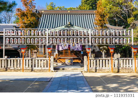 兵庫県宝塚市社町の宝塚神社　拝殿（初日の出の名所） 111935331