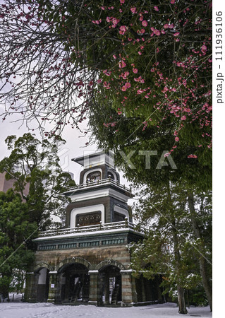 梅が咲く雪景色の尾山神社 111936106