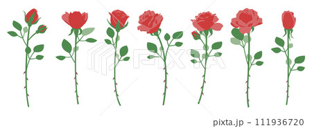 一輪の薔薇のイラストセット、バリエーションセット、アイコン、ベクター	 111936720