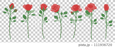一輪の薔薇のイラストセット、バリエーションセット、アイコン、ベクター	 111936720